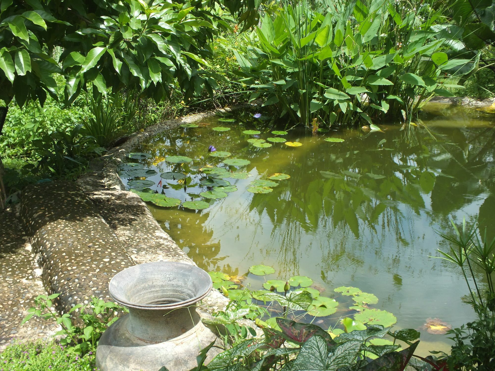 Chiang Dao Roundhouses Exterior foto